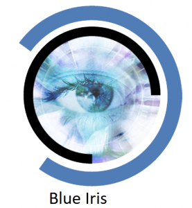 Blue Iris Crack