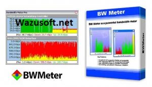 bwmeter crack