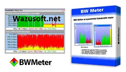 bwmeter crack